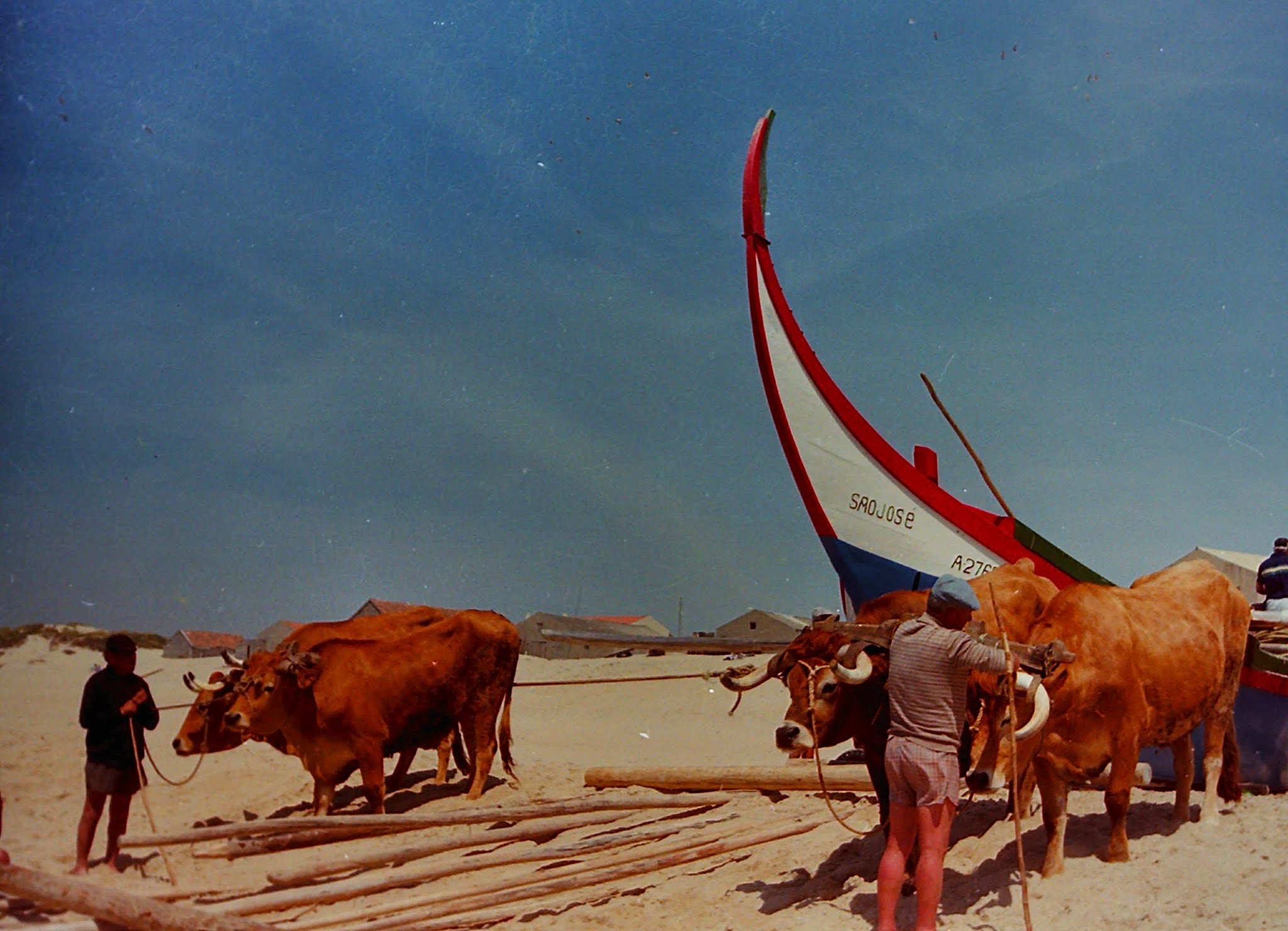 Arte Xávega