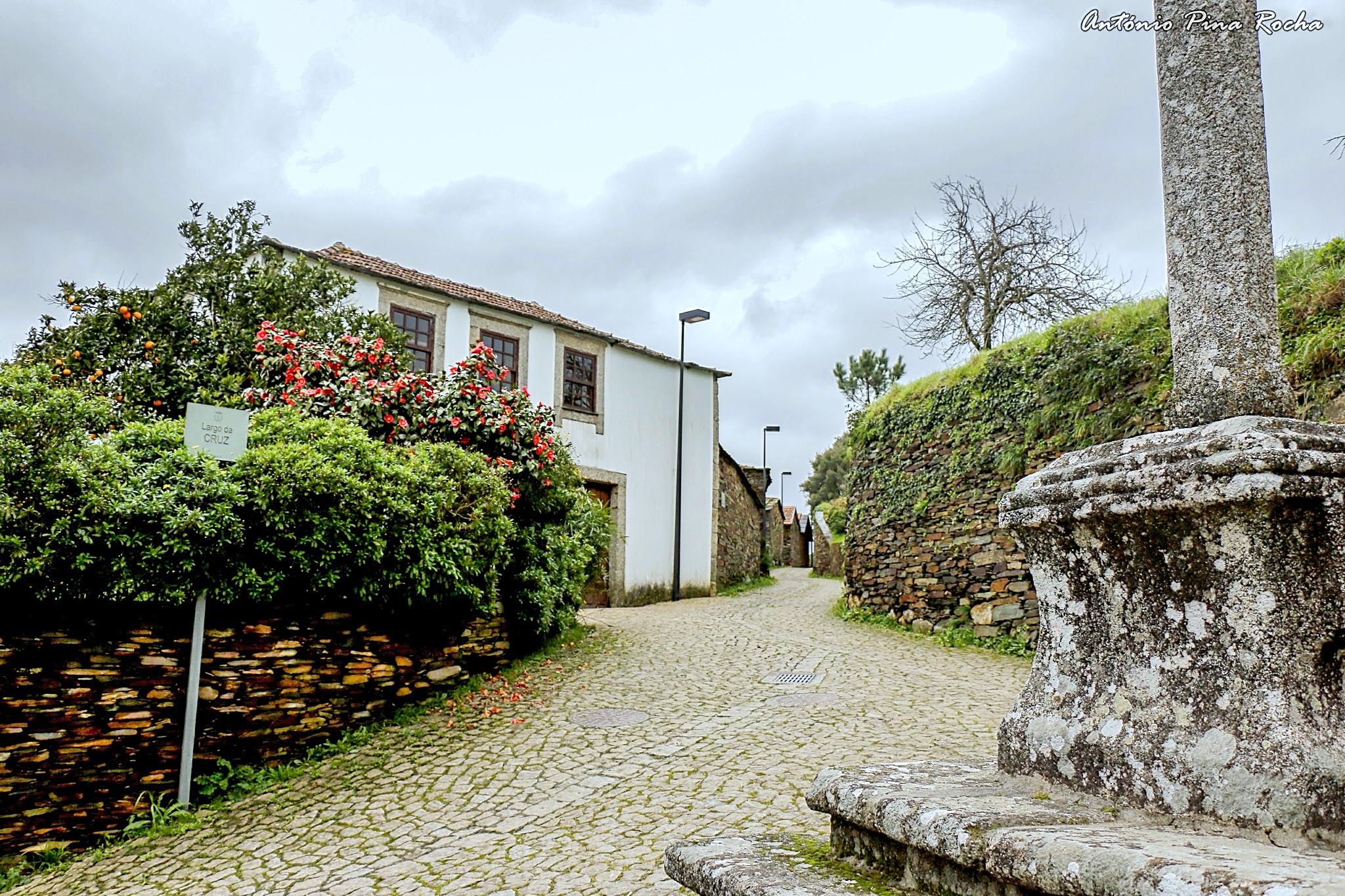 Quintandona