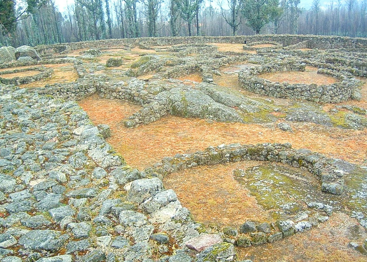 Castro de Monte Mozinho