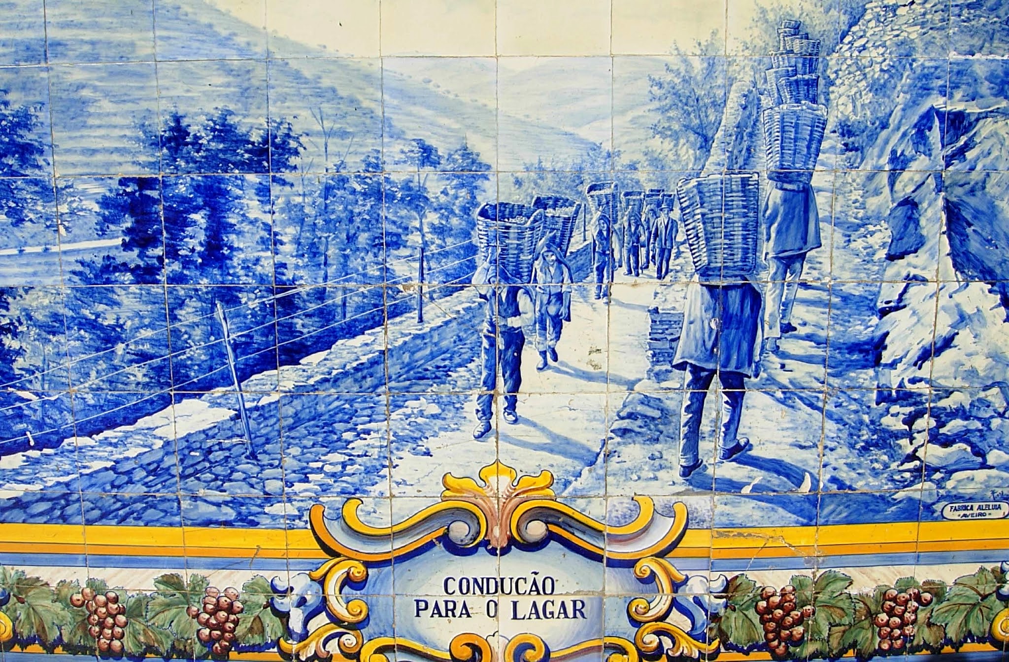 Pinhão