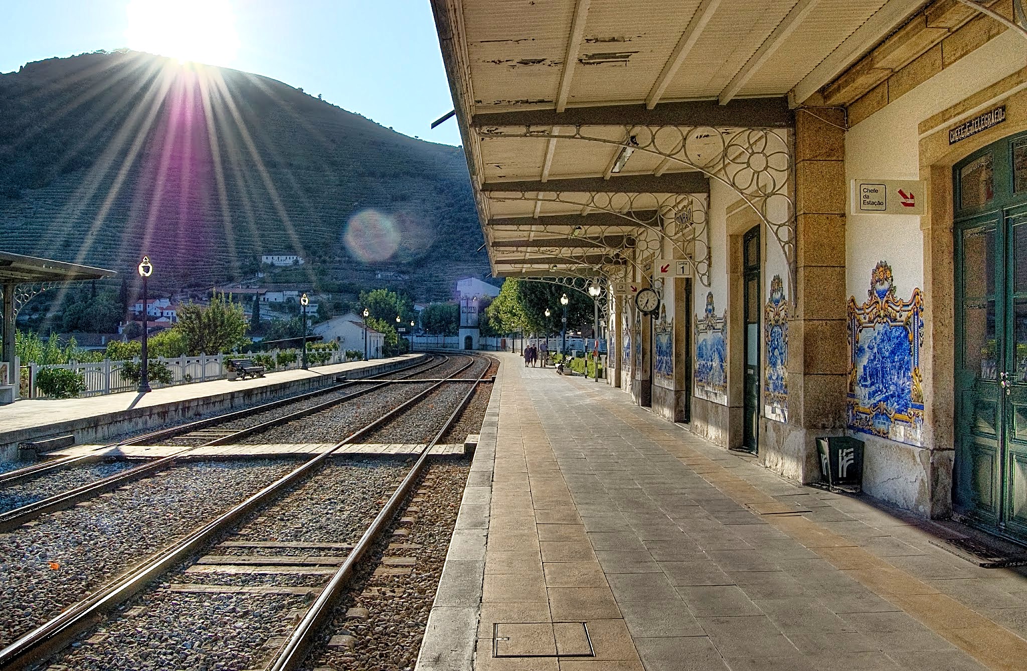 Pinhão