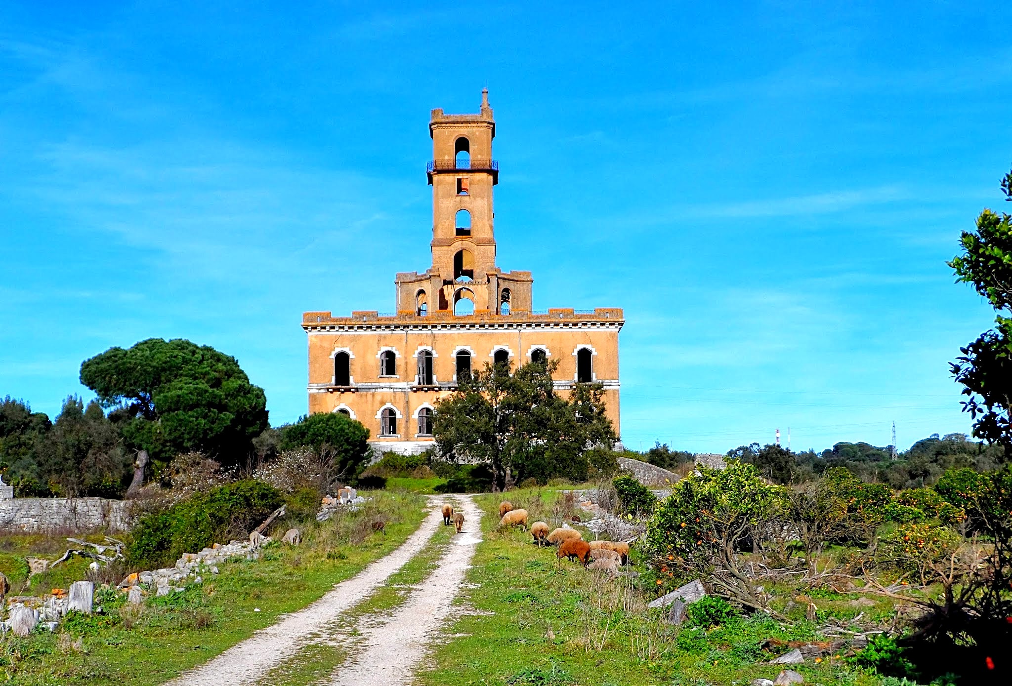 Palácio do Rei do Lixo