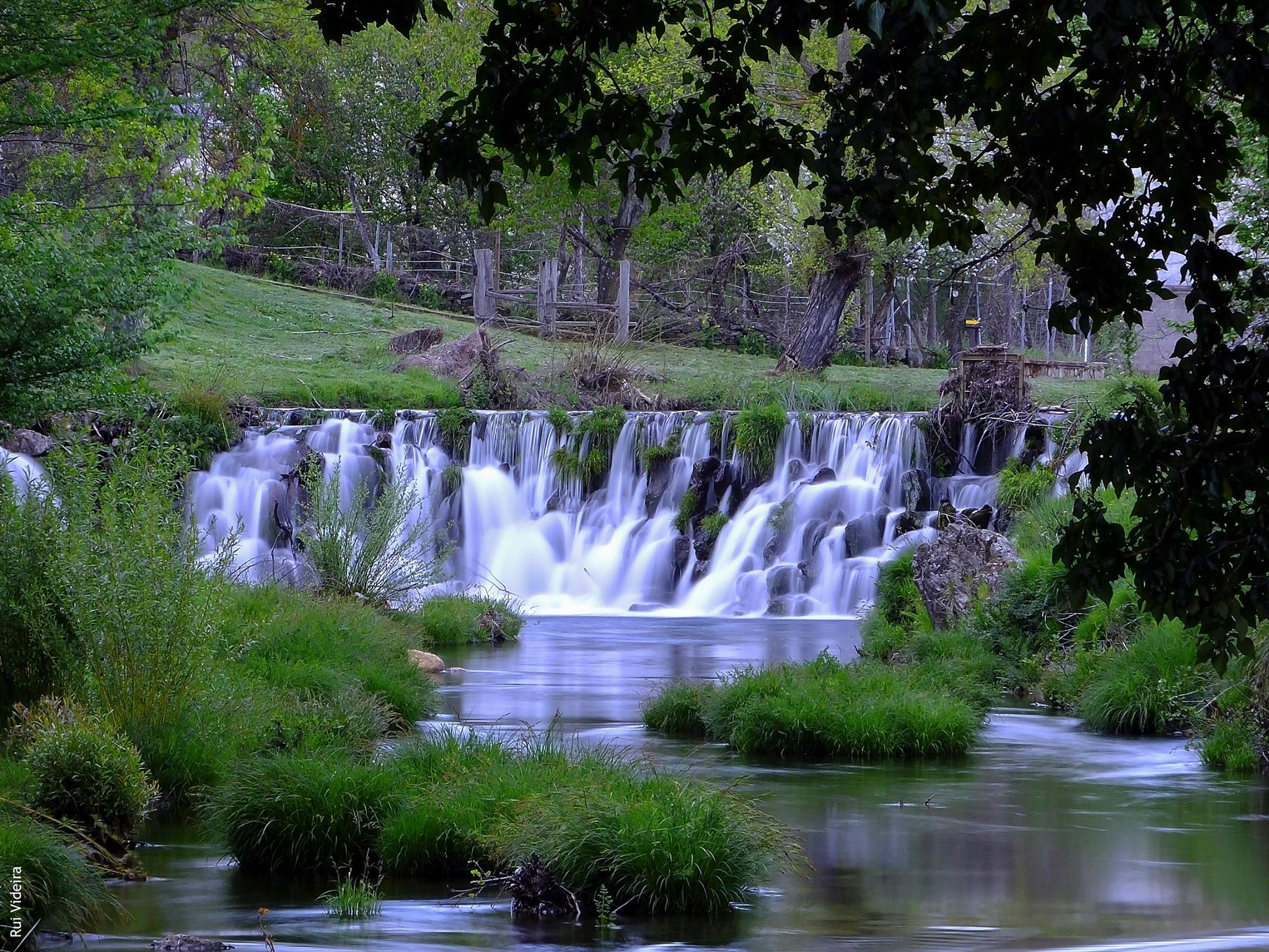 Rio de Onor